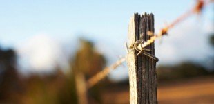 When should I use stock photography?