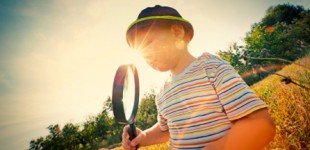 What should you look for in a search engine optimization campaign?