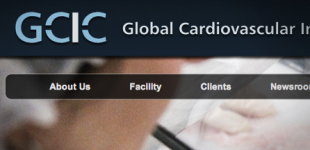 GCIC Incubator Program launches site