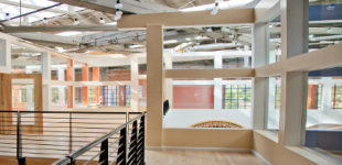 Insivia: On the Rise