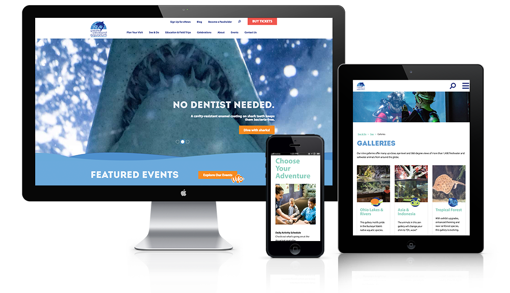 Aquarium Website Design