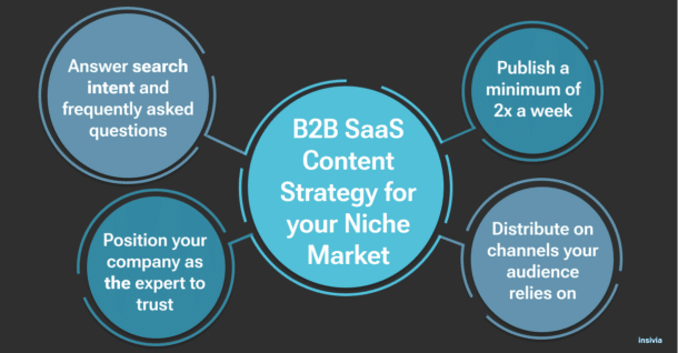 B2B SaaS content strategy for Niche Markets