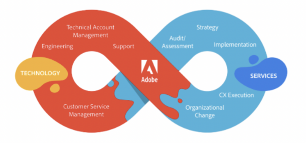 SaaS Services Model