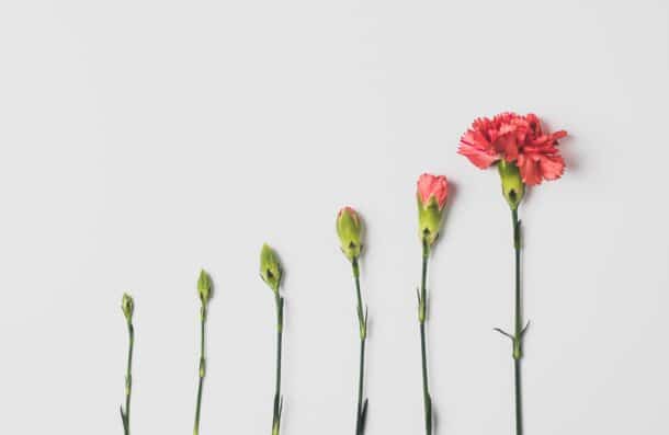 SaaS Trends and Stats You Must Know in 2022