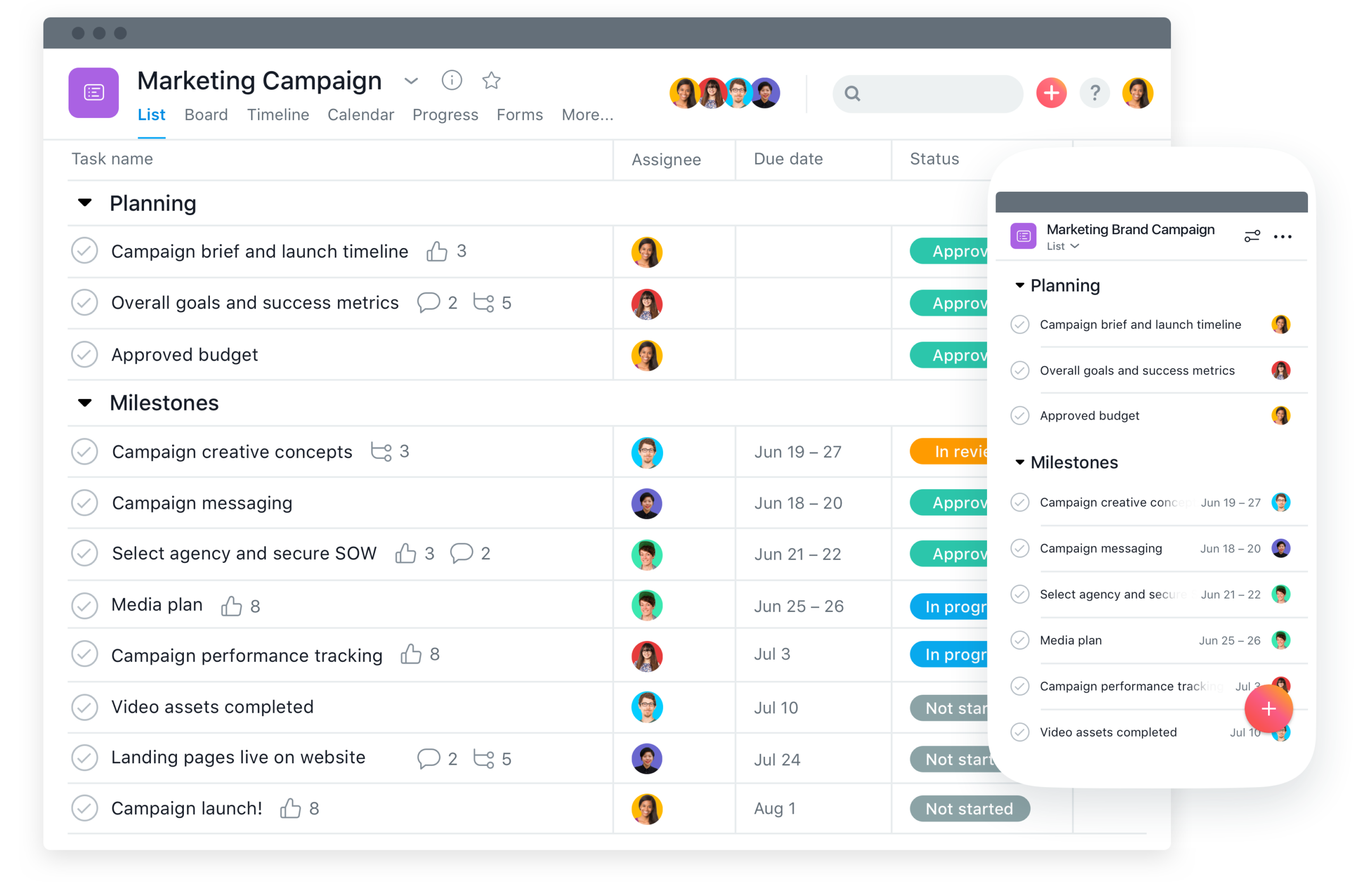 asana project management