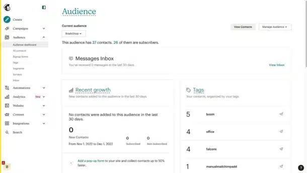 A screenshot of MailChimp's audience dashboard.